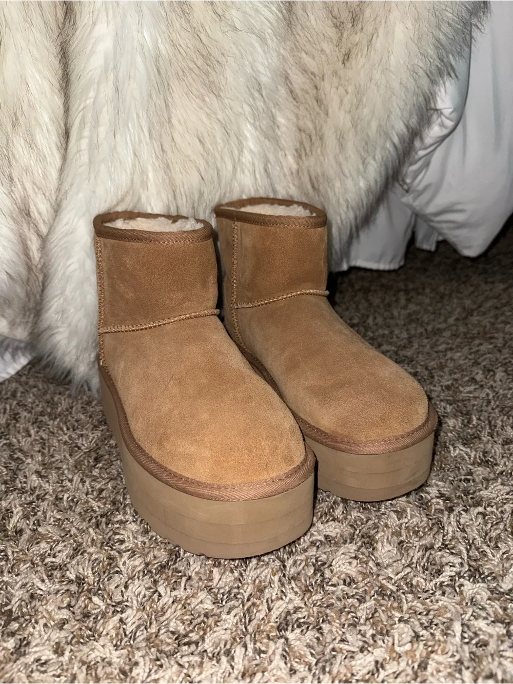 UGG Classic mini platform boot in chestnut